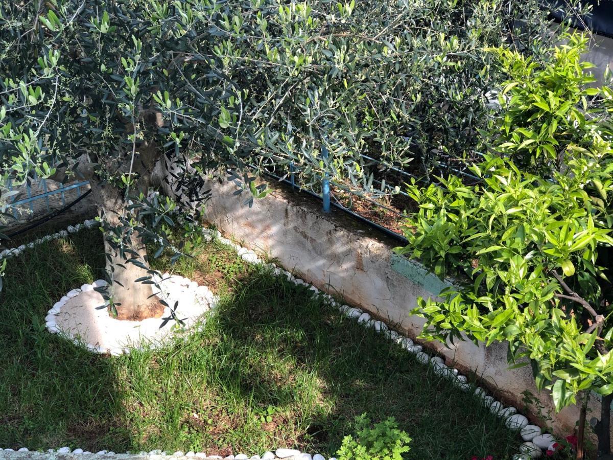 קסאמיל Villa Elvis Caca מראה חיצוני תמונה